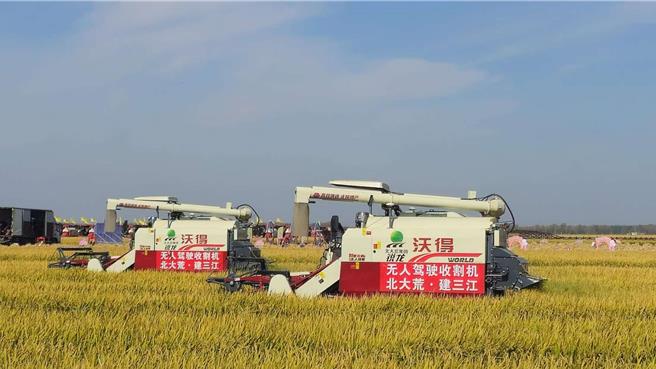 黑龍江機械化插秧、秋收，北斗衛星助陣定位節省人力。（藍孝威攝）