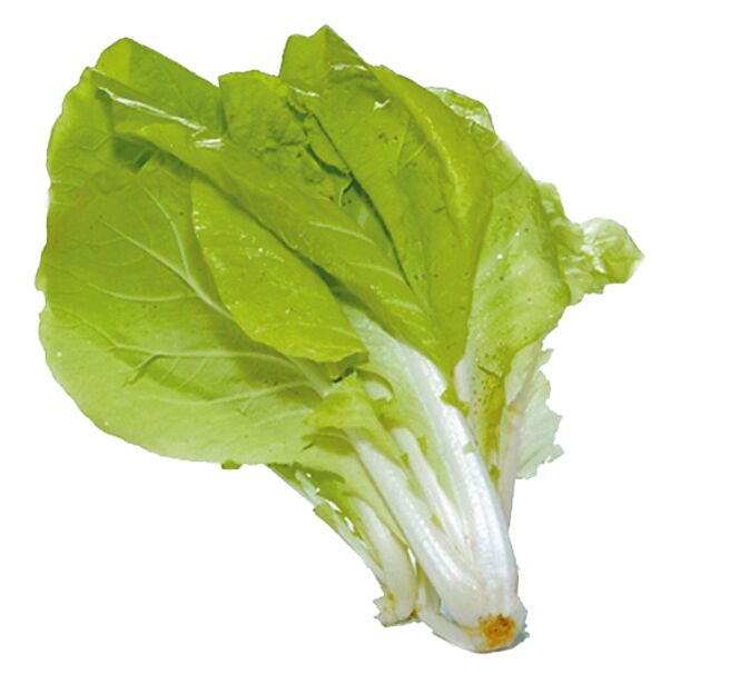 大潤發台灣小白菜，10月3日前每袋250g特價29元。（大潤發提供）