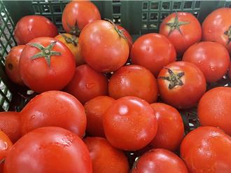 好市多牛番茄長黑霉！他怒轟品管有問題 會員看2關鍵反開罵