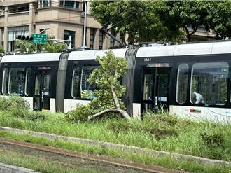 山陀兒襲淡海！路樹傾倒險擊輕軌列車 駕駛神反應避災