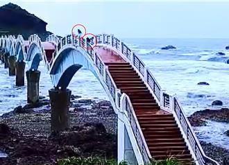 影》2台灣獼猴又結伴登橋觀浪 東管處長喊：不開單不行