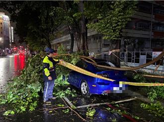 高雄晚間風雨增強！市區樹斷枝掉落、路燈傾斜