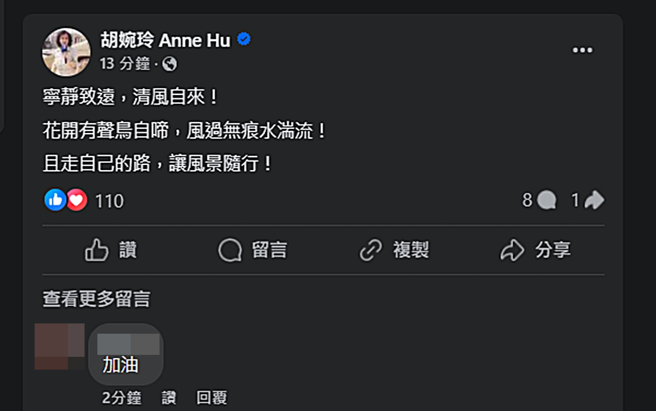 胡婉玲發文。（圖／翻攝自胡婉玲 Anne Hu臉書）
