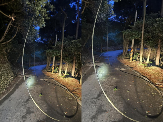 新埔照门2日凌晨起因树木倒塌导致压断高压览线，台电紧急抢修，于中午復电。（台电新竹区营业处提供／邱立雅竹县传真）