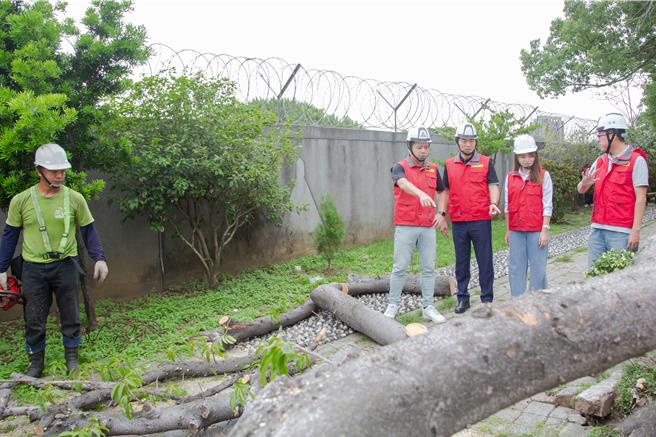 2日一早新竹市最大陣風達10級，成功路一帶路樹倒塌，波及2輛停放一旁的車輛，所幸車內無人，目前已排除，代理市長邱臣遠2日一早隨即前往勘災。（新竹市政府提供／王惠慧新竹傳真）