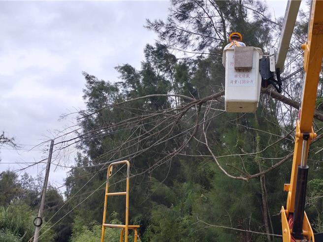 随着「山陀儿」持续近逼，金门地区今天下午风势是明显增强，已陆续出现零星灾情。1处倒木倾斜至台电电杆，已由台电处理完毕。（图／金门县灾害应变中心）