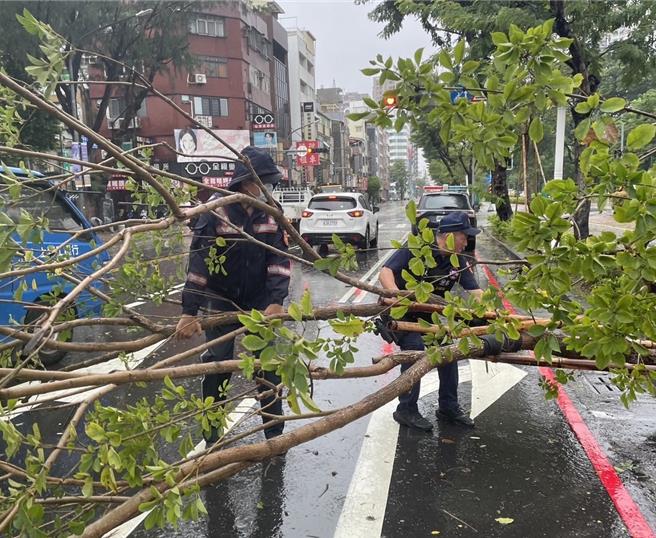 苓雅区有路树倒塌，公园处立即前往排除。（警方提供／任义宇高雄传真）