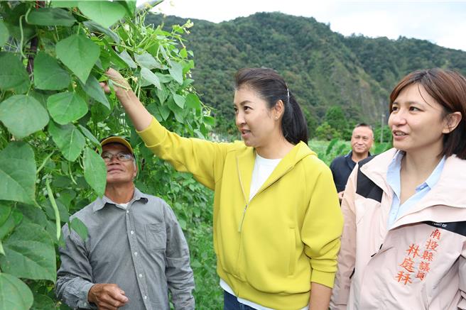 南投縣長許淑華在南投縣議員林庭秝等人陪同下至仁愛鄉勘查，了解農友搶收敏豆等高山蔬菜的情形，籲農友注意安全。（南投縣政府提供／楊靜茹南投傳真）