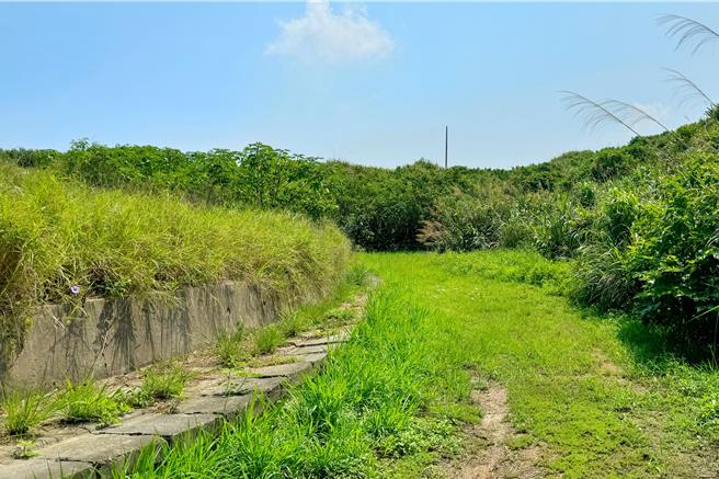 芦竹区坑口垃圾掩埋场1999年启用，封闭復育至今10年，现场荒烟蔓草，地方民代力推活化。（钱龙提供／蔡依珍桃园传真）