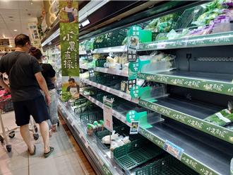 山陀儿过境菜价飙高回跌2成 香菜续涨每公斤批价178元