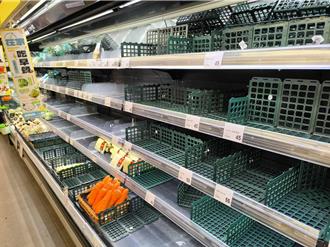 山陀兒襲台網怒「菜價趁亂漲」 農損作物TOP5沒葉菜類