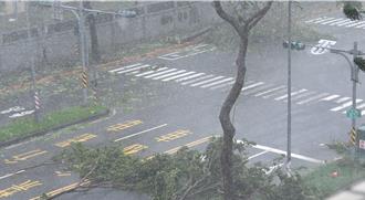 颱風夜難過！高雄9萬多戶停電20萬戶停水 恢復供水時間曝