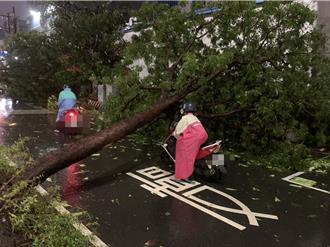 高雄連放6天假！ 宣布第4天停班停課 陳其邁曝關鍵考量