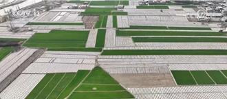 另类黄金周！陆秋收进度加快  各地多措并举有望再获丰收