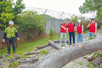 桃竹零星灾情 石门水库暂停放水