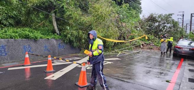 大量土石沿着山壁倾泻而下，泥流以及倾倒的树木直接覆盖在道路上，警消封闭双向道路。(翻摄自记者爆料网)