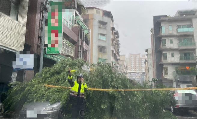   前鎮區衡陽、天山路口路樹倒塌，警方趕緊聯繫車主與相關權責機關到場。（翻攝照片／洪靖宜高雄傳真）