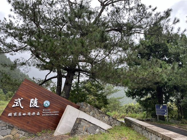 武陵國家森林遊樂區今天預警性休園。（業者提供／李京昇台中傳真）