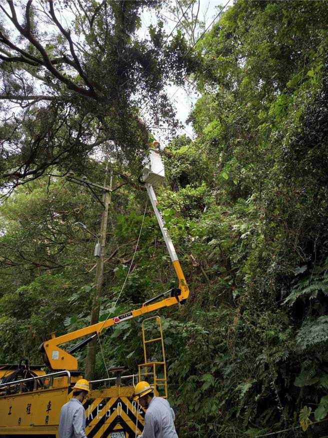 為降低停電事故，台電北北區處已派人加強線路巡視維護，進行預防性樹木修剪。（台電北北區處提供）