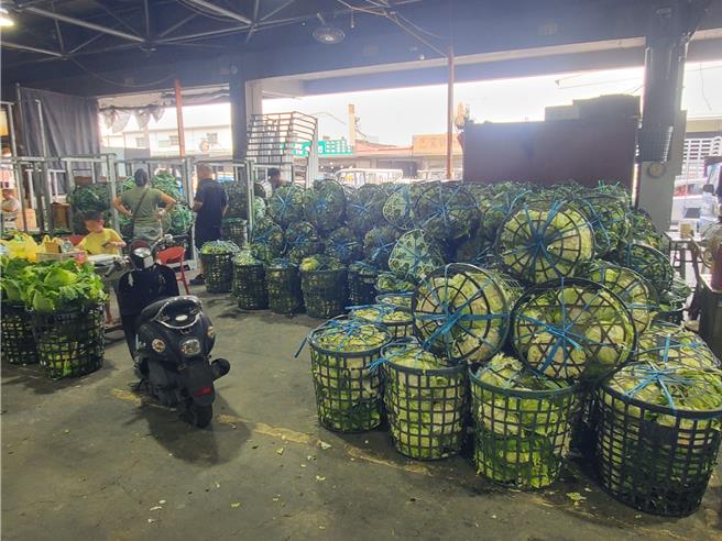 台湾中部山区高丽菜大量涌入西螺果菜市场。（周丽兰摄）