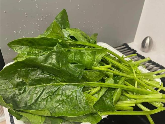 陈姓民眾随手抓的1把波菜、炒起来只有一盘的量，要价250元，让她直呼真的是「颱风未到、涨价先行」，觉得「还是继续吃便当好了」。（民眾提供／叶静美彰化传真）