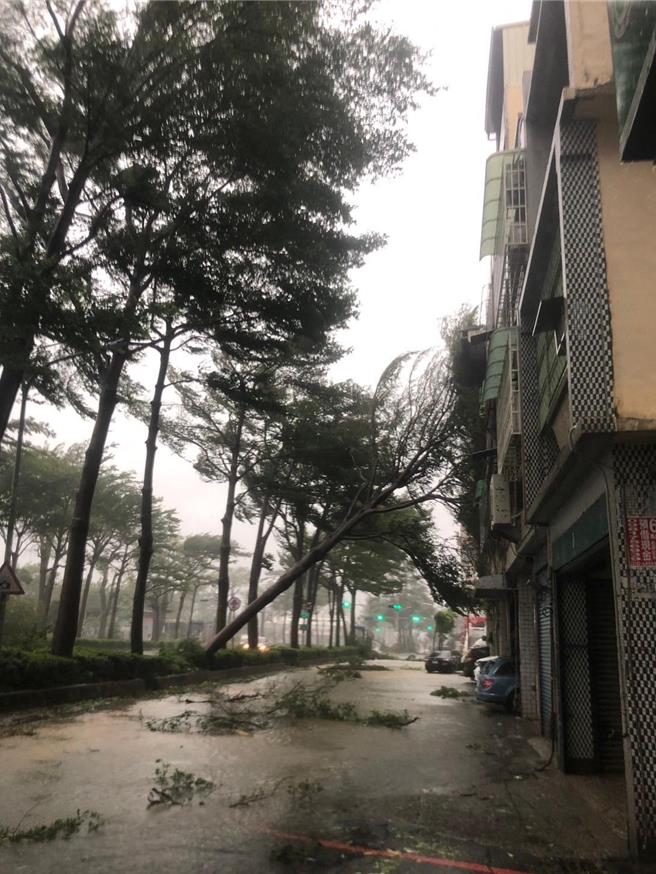 五甲一路分隔岛路树砸向民宅。（民眾提供／纪爰高雄传真）