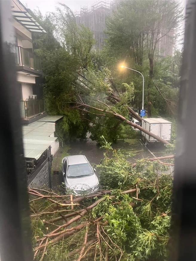 凤山公园一街出现路树倒塌。（民眾提供／纪爰高雄传真）