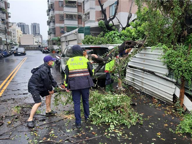 台南市至3日上午為止，山陀兒颱風僅造成零星路樹倒塌。（程炳璋攝）