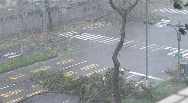 山陀儿颱风3日袭台，导致高雄市楠梓区供电不稳定，图为楠梓区外环西路的树木被强风吹倒。（林瑞益摄）