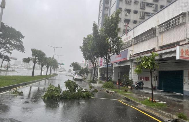 山陀儿颱风强势来袭，高雄市前镇区中华五路一带树枝、树叶掉满地，更有路树被强风连根拔起。（洪浩轩摄）