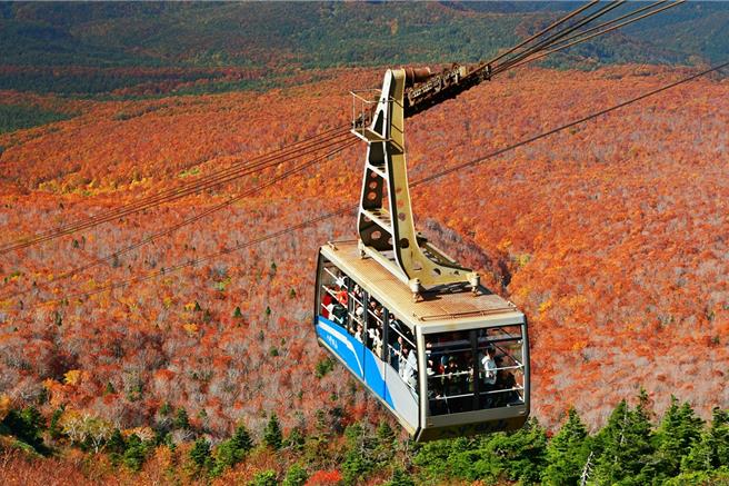 搭乘八甲田山缆车，攻上海拔1324公尺的山顶，欣赏360度无死角的枫红美景，随便拍都是「枫」景明信片。（旅天下提供）