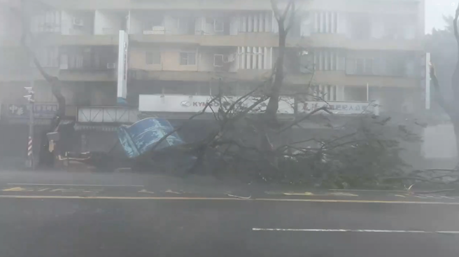 山陀儿颱风今(3)日中午12时40分许从高雄小港登陆，高雄左营一棵路树不敌强风断成两半。（图／翻摄画面）