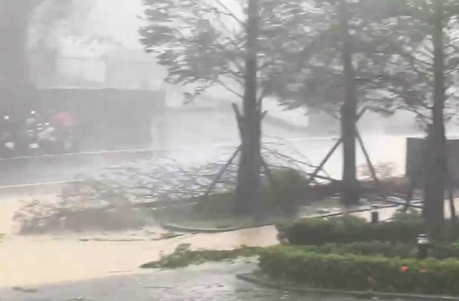 山陀兒颱風今(3)日中午12時40分許從高雄小港登陸，高雄左營路颳強風，路樹殘枝被吹落。（圖／翻攝畫面）