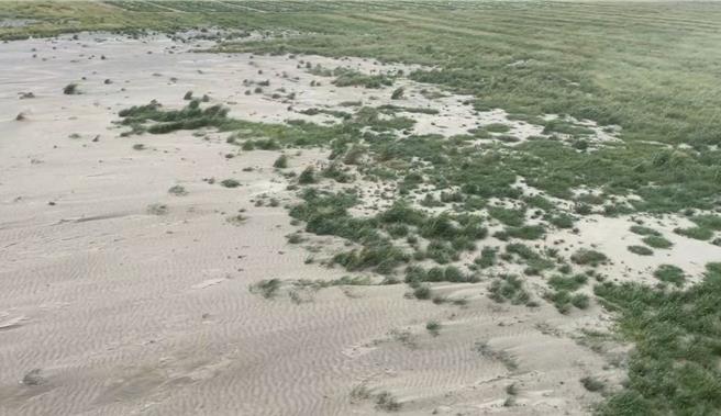西螺镇至二崙乡的浊水溪裸露河床今天被强劲东北季风刮起。（周丽兰摄）