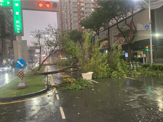  民族路上多棵路树倒塌，阻碍通行。（郭良杰摄）