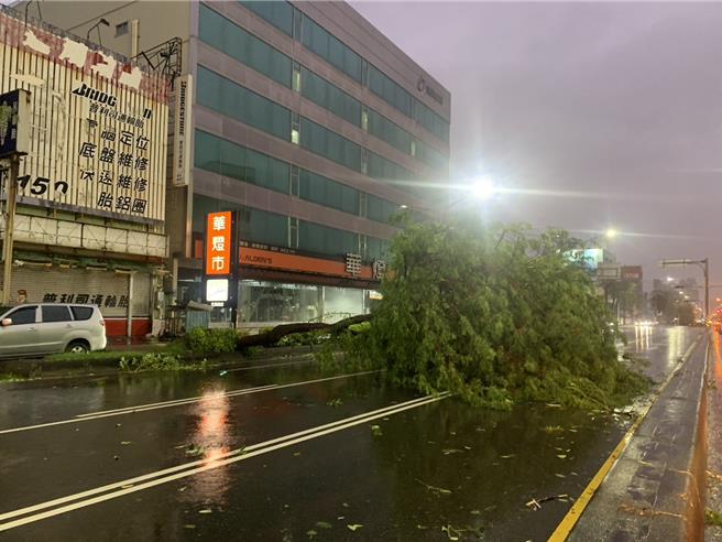  民族路上多棵路树倒塌，阻碍通行。（郭良杰摄）