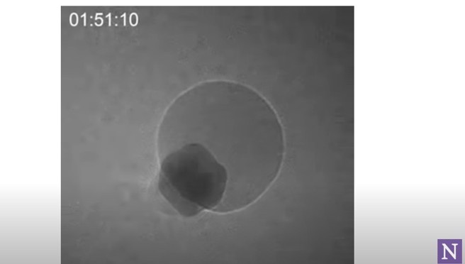 填充氧气后，氢原子从钯表面释出，与氧原子结合成水，形成大的水滴。同时，钯金属恢復成原本的六边形晶格。(图/Youtube截图)