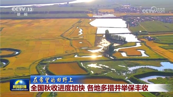另類黃金周，陸秋收進度加快各地多措並舉保豐收。（大陸央視）