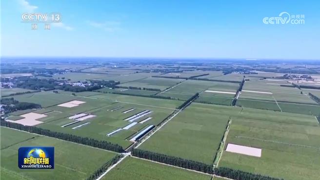 另類黃金周，陸秋收進度加快各地多措並舉保豐收。（大陸央視）