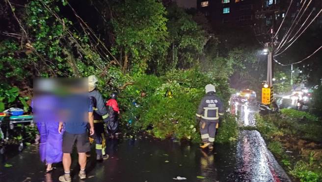 淡水新民街晚间9时许，8米大树突然倒塌，3名骑士遭受波及，所幸都无生命危险。（翻摄画面）