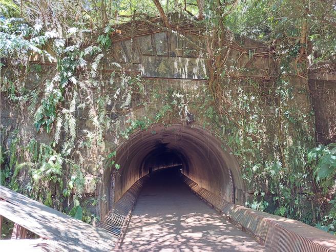 新北三貂嶺生態友善隧道4日暫停服務。（陳慰慈攝）