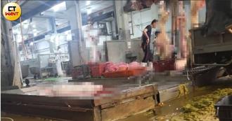 輕則妻離子散重則家破人亡 牛灌水是禁忌公認「有報應」