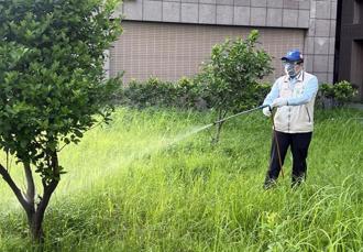 颱風過後恐爆發登革熱 環部籲速清掃