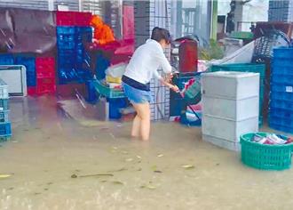 山陀儿颱风侵袭酿灾情 全台2死1失踪667伤