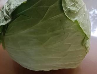 高丽菜「1颗430元」吓坏主妇 新北批发菜价较昨涨近2成