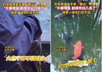 遊客狂餵食！景區鯉魚竟「撐死」 陸網：胖到游不動