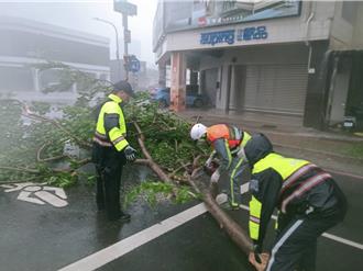 山陀兒摧毀市區路樹！三民一警分局深夜清理 力拼復原市容