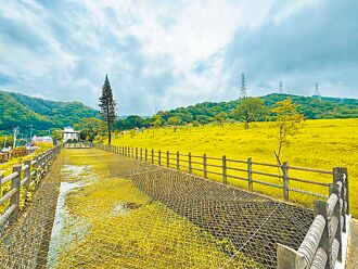 林口特定區 5公墓用地變更用途