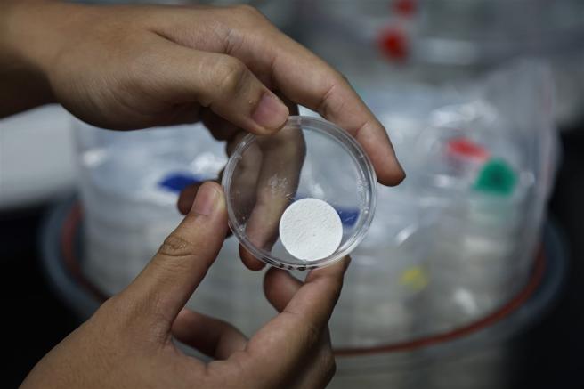 採样的海水经过乾燥过滤后，才能进一步称重计算藻类生物量。
（记者孙建屏摄）