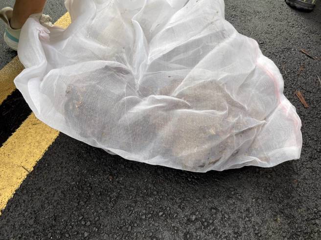 警专晨运学生遭虎头蜂围攻，7人遭螫伤送医。(戴志扬翻摄)